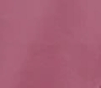 Dear Kate Nellie Thong Berry color swatch on a white background.