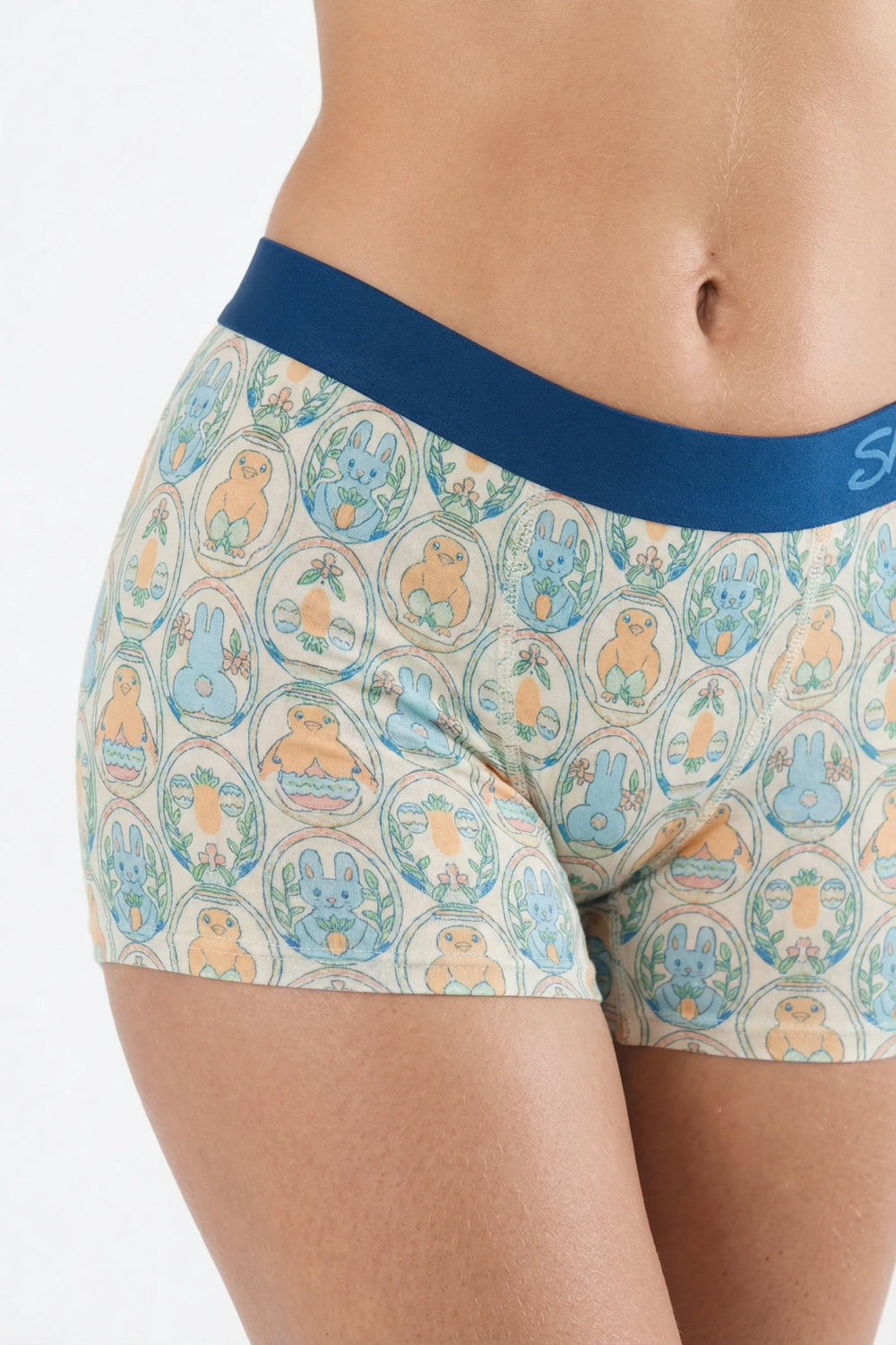 Shinesty The Chicks Dig It pastel Easter women's boxers – funny Easter novelty underwear
