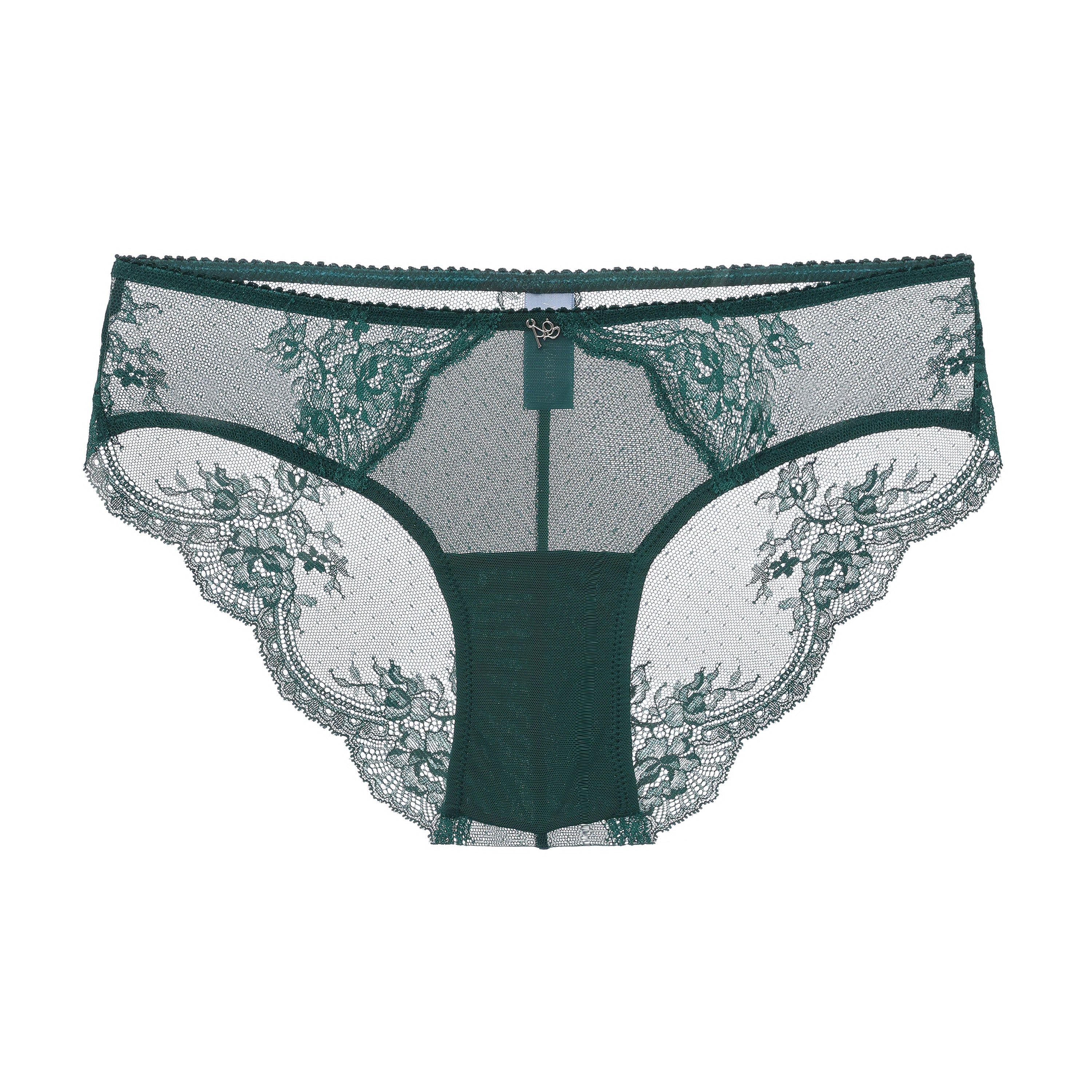Amour d'Agnette Kim Stretch Lace and Mesh Cheeky, back view on a white background.