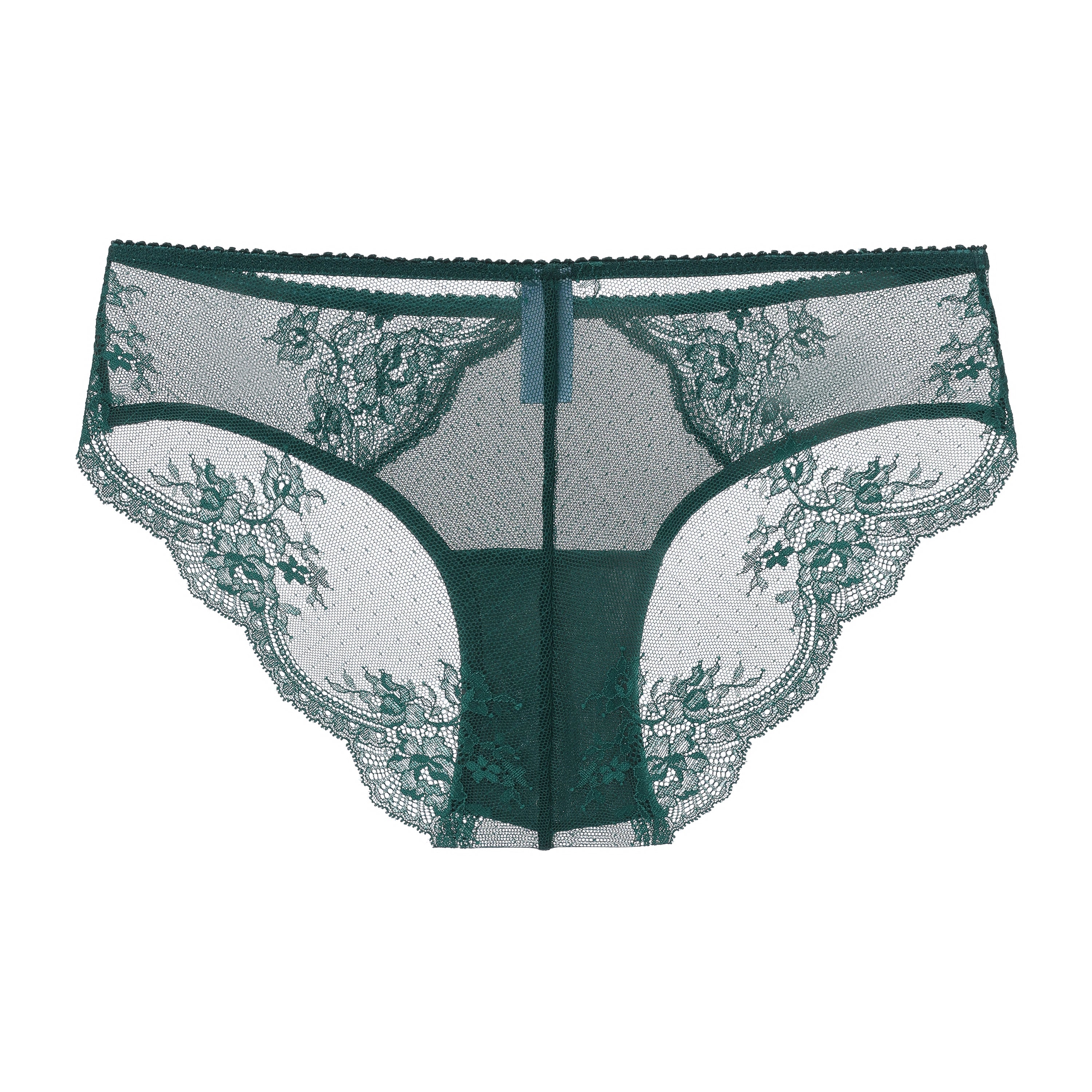 Amour d'Agnette Kim Stretch Lace and Mesh Cheeky, detail of silver chrome hardware on a white background.