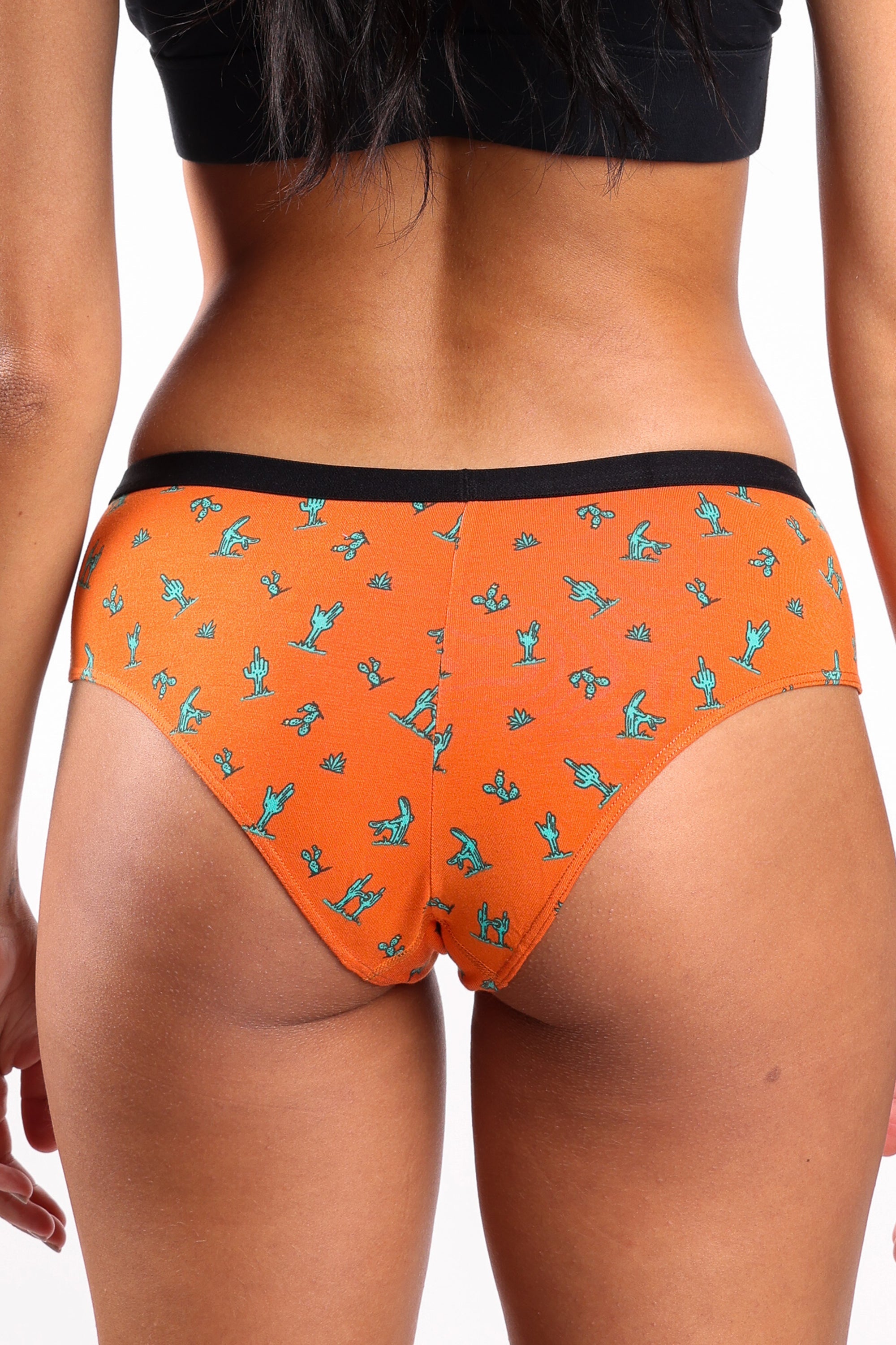 Shinesty The Hokey Pokey cactus cheeky underwear – funny desert novelty underwear