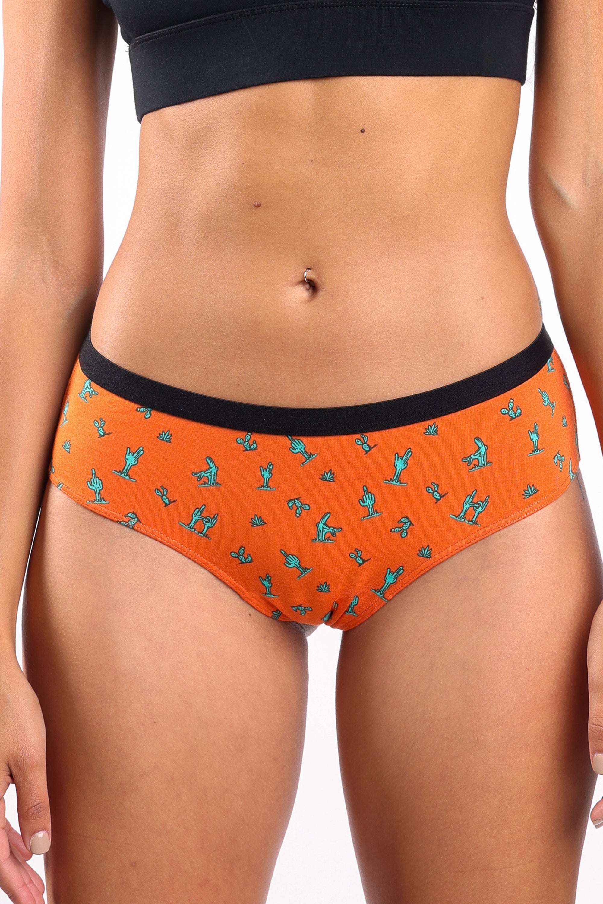 Shinesty The Hokey Pokey cactus cheeky underwear – funny desert novelty underwear