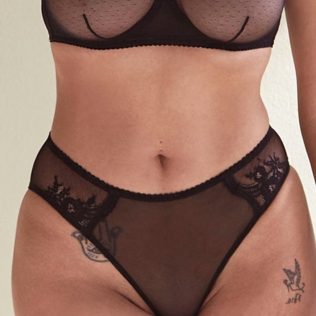 Amour d'Agnette Kim Rose Lace and Mesh Hipster Brief, back view on a white background.
