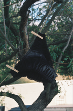 Paulette & Maria Black organic cotton panties, eco-friendly laundry lifestyle shot.